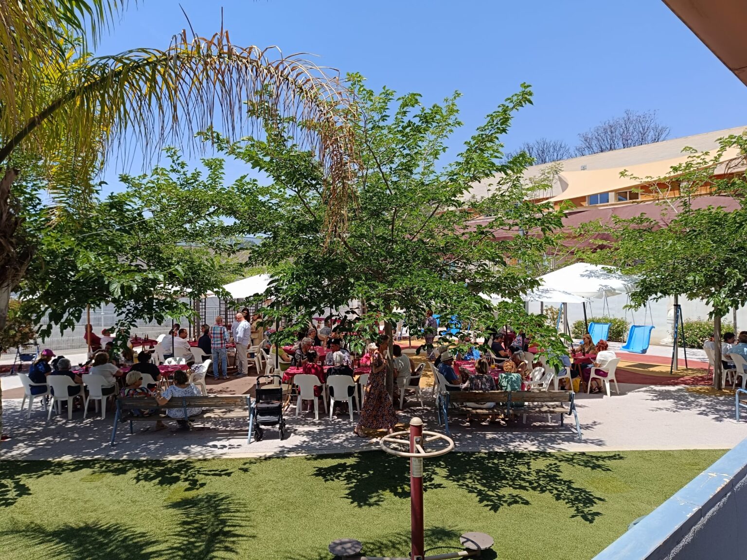 WhatsApp Image 2025-06-02 at 10.01.41