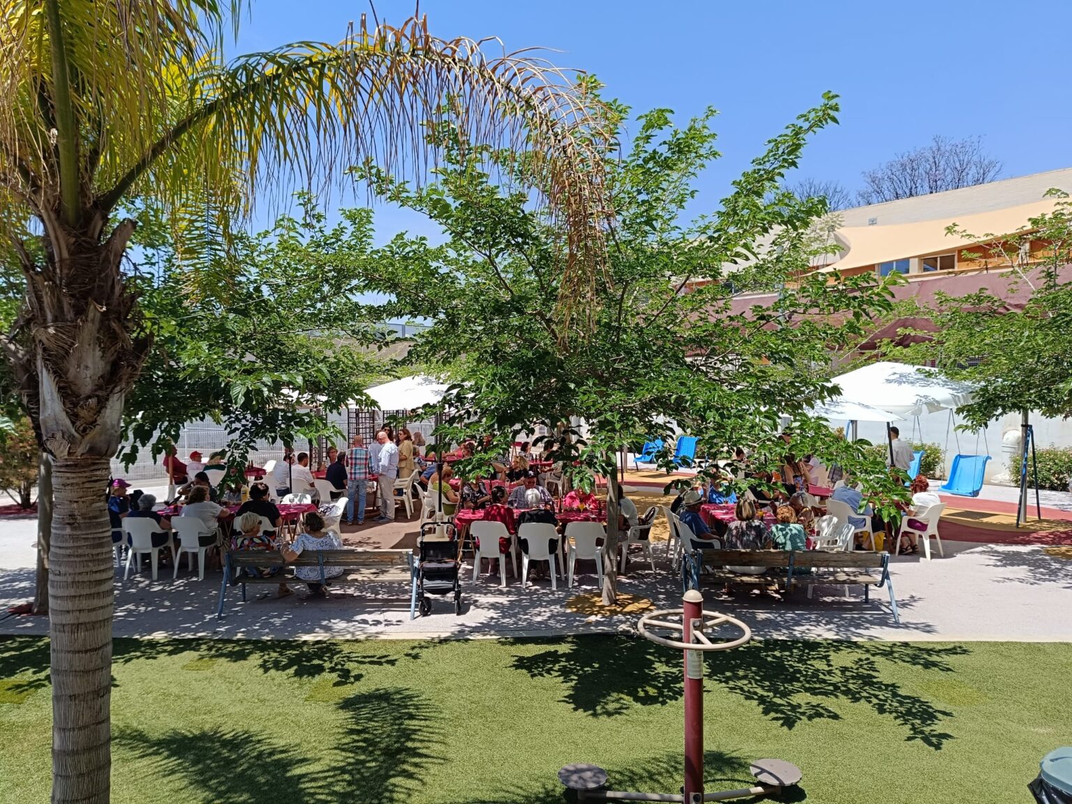 WhatsApp Image 2025-06-02 at 10.01.43