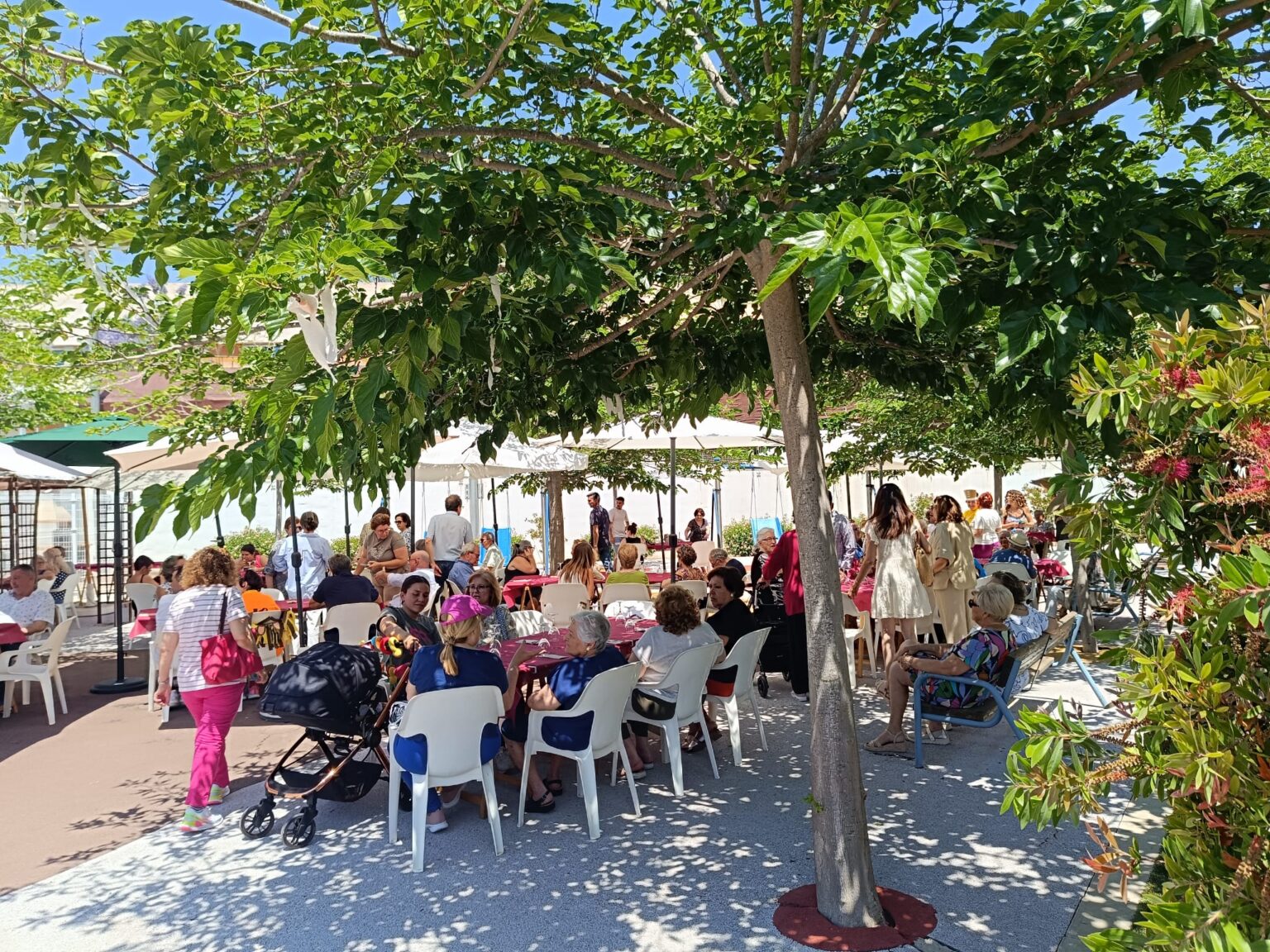 WhatsApp Image 2025-06-02 at 10.01.44