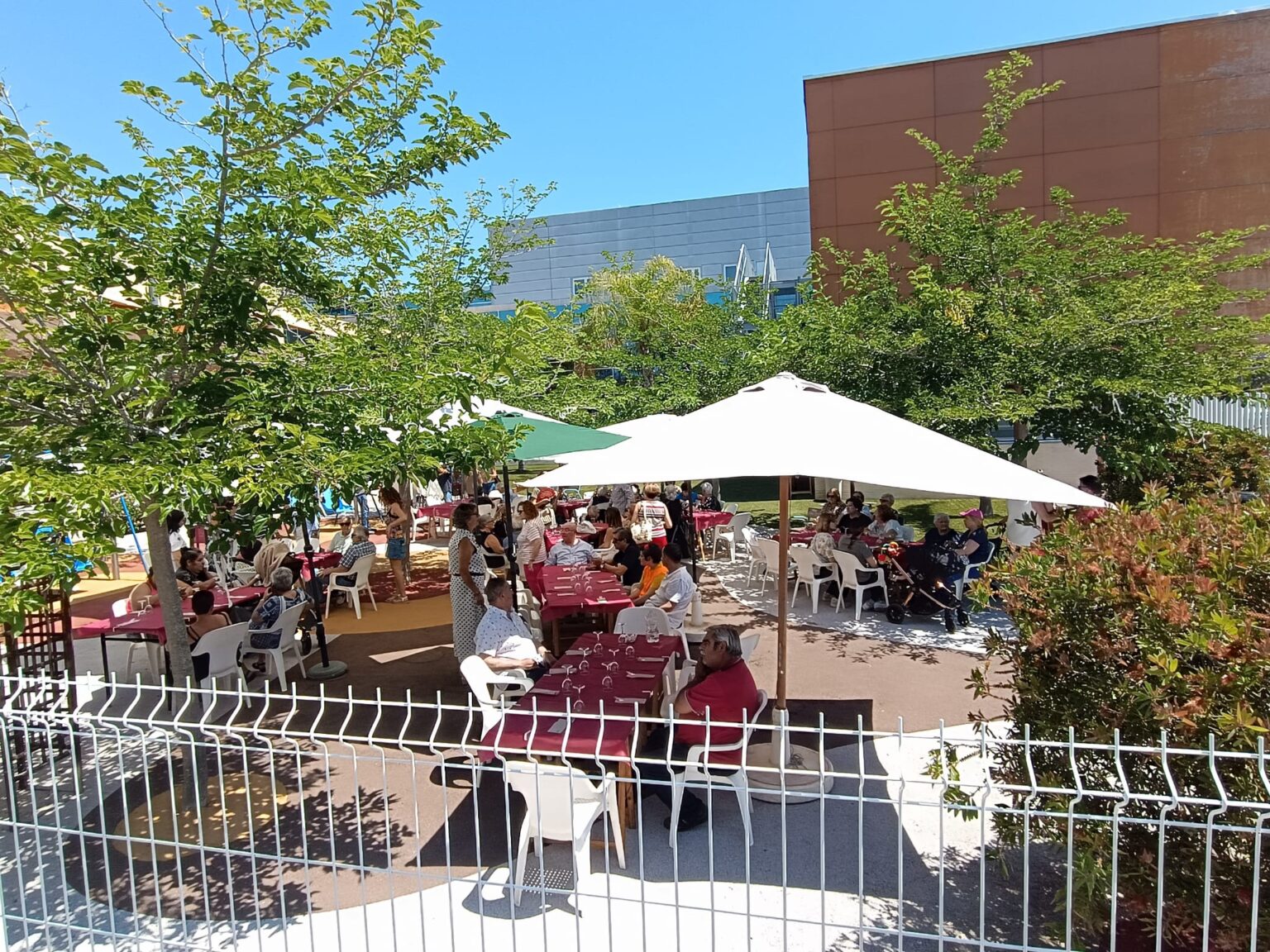 WhatsApp Image 2025-06-02 at 10.01.46